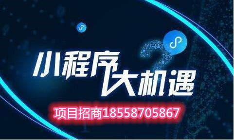 小程序直播系统搭建多长时间招商项目合作